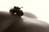 Panzer im Gelände