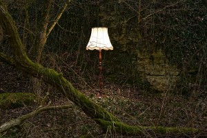 Portraits einer Stehlampe in der Landschaft