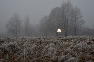 Portraits einer Stehlampe