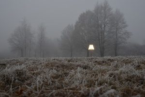 Portraits einer Stehlampe