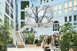 Architekturfotografie Baumhaus im Artrium