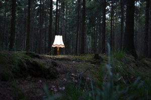 Lampe im Wald